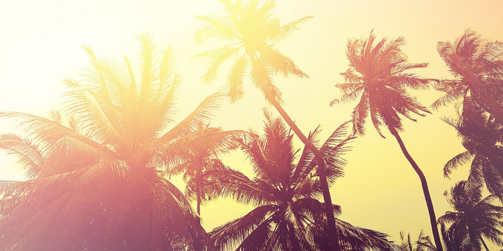 Banner img girls and boys